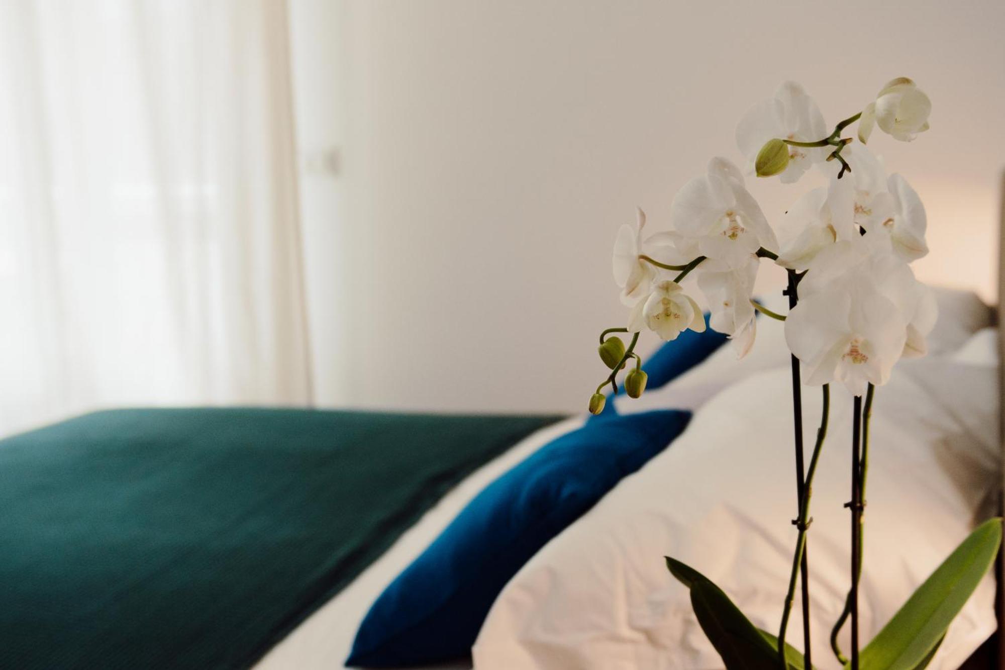 Hotel Sweet Dreams Civitavecchia Zewnętrze zdjęcie